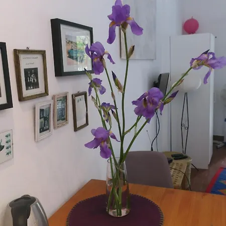 Miomir Apartmán Dubrovník