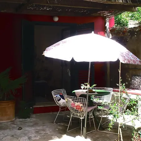 Apartman Miomir