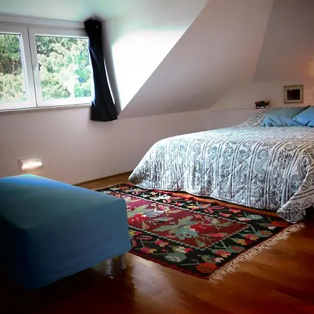 Apartment Miomir *