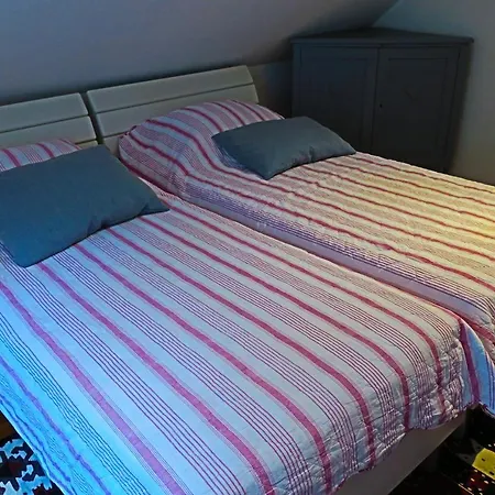 Apartman Miomir