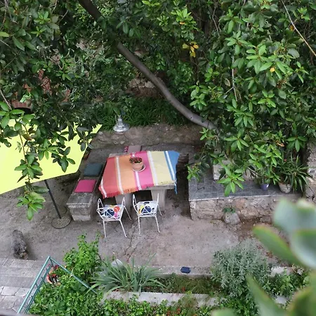 Apartman Miomir