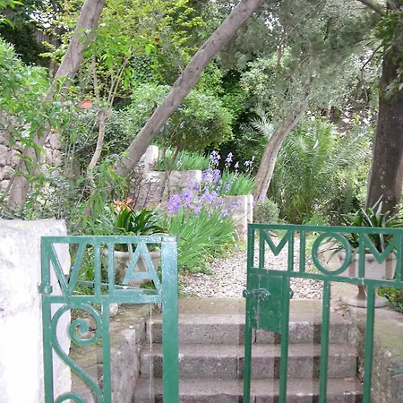 Apartment Miomir *