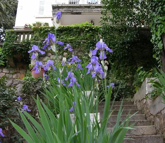 Miomir Apartment Dubrovnik