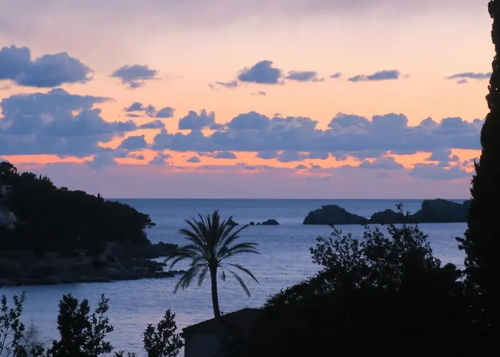 Miomir Dubrovnik