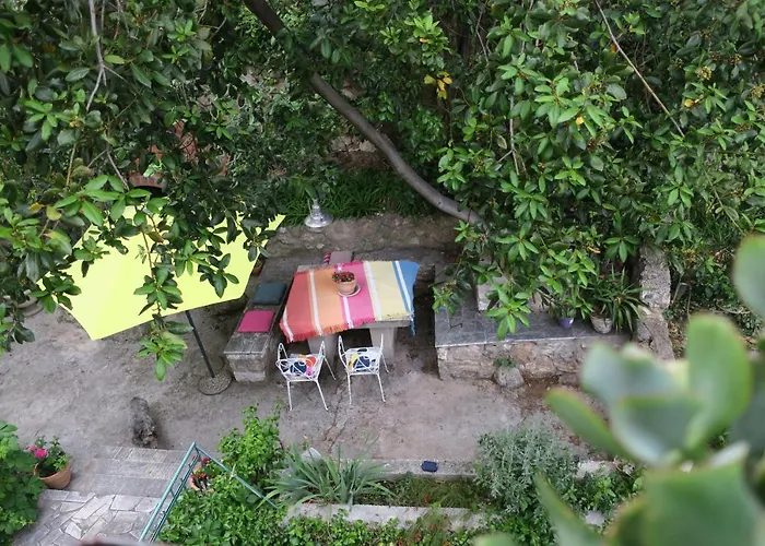 Apartamento Miomir
