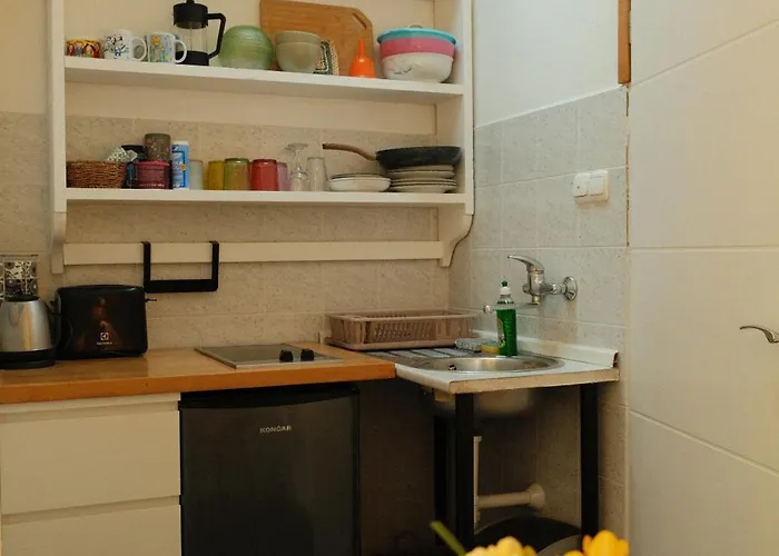 Miomir Apartamento