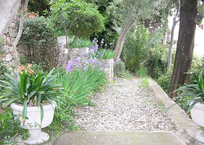 Miomir Apartamento *